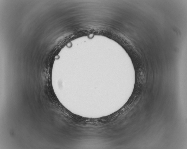 X0000112950918200909211151