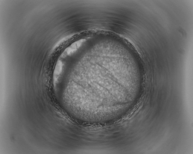 X0000112950919200909211151