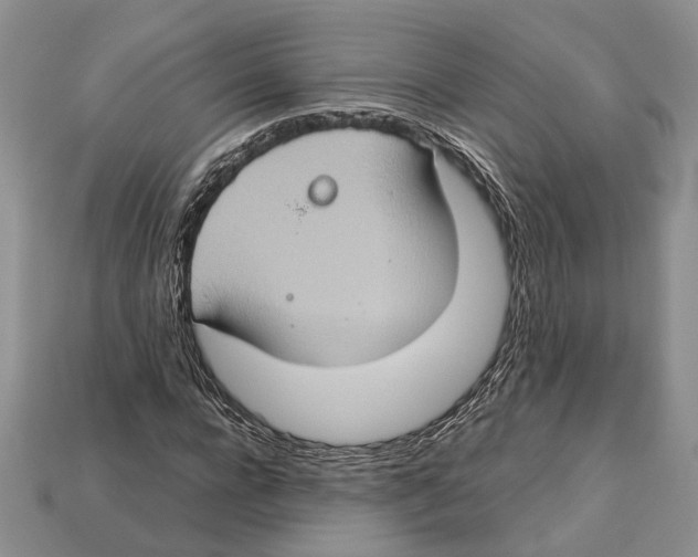 X0000112950920200909211151