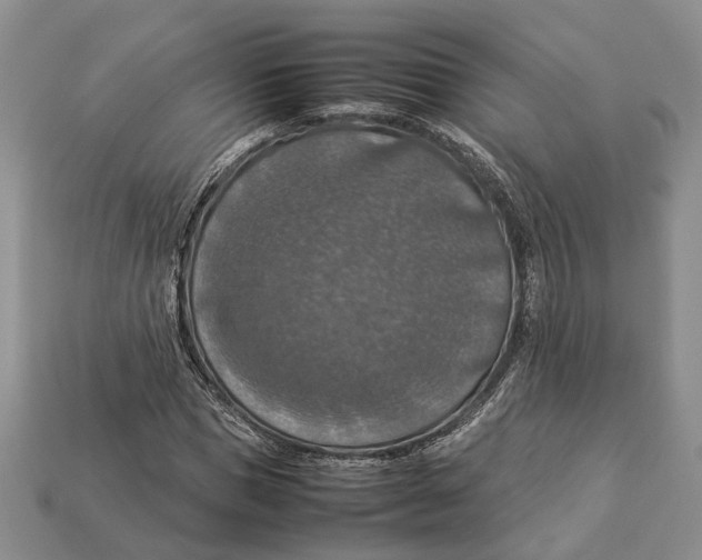 X0000112950921200909211151