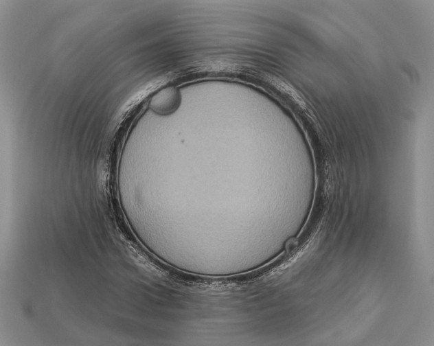 X0000112950922200909211151