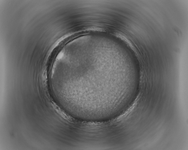 X0000112950923200909211151