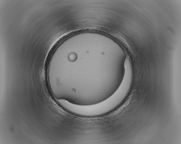 X0000112950924200909211151