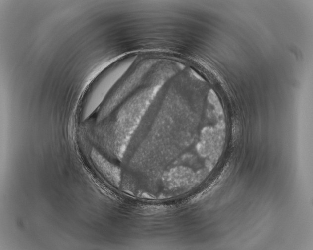 X0000112950925200909211151