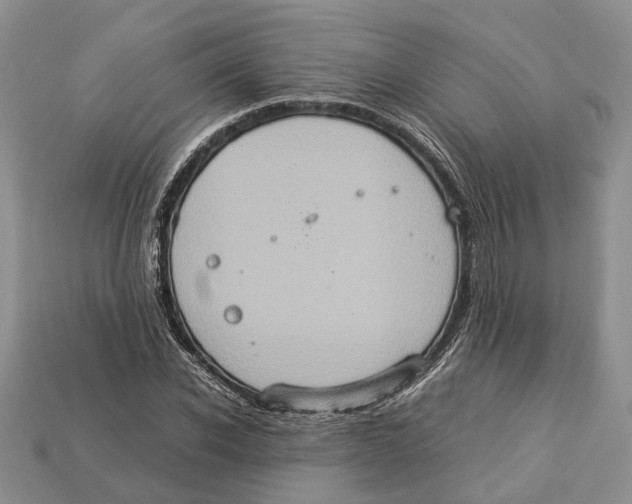 X0000112950926200909211151