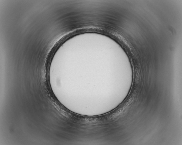 X0000112950927200909211151