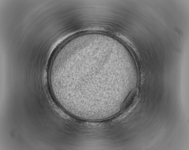 X0000112950928200909211151