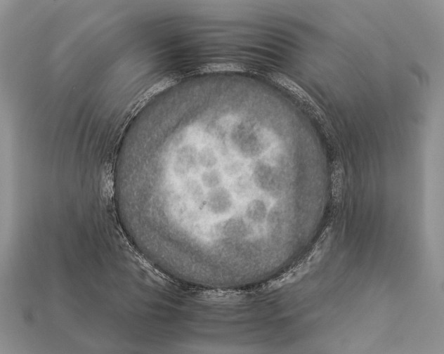 X0000112950929200909211151