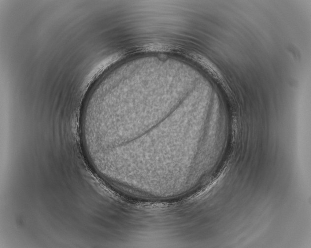 X0000112950930200909211151