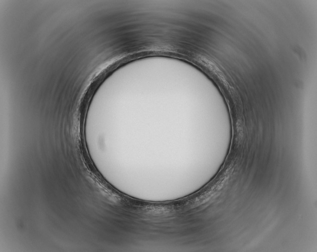 X0000112950931200909211151