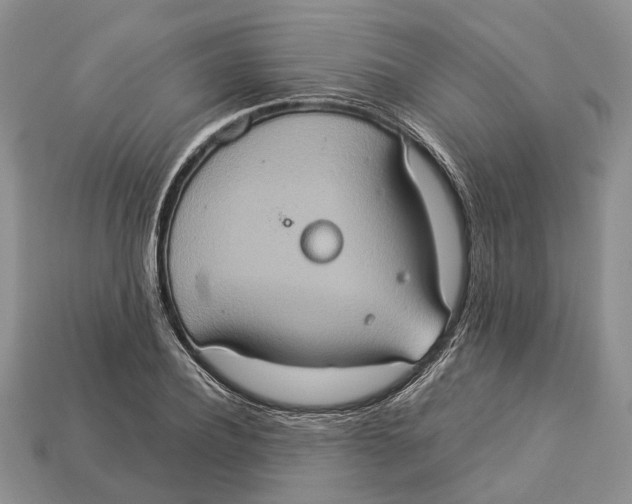 X0000112950932200909211151