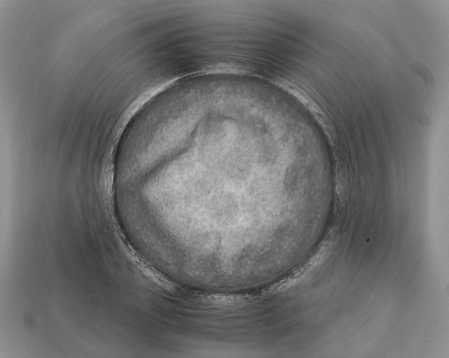 X0000112950933200909211151