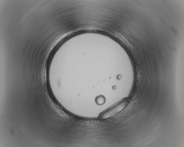 X0000112950934200909211151