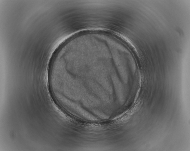 X0000112950935200909211151