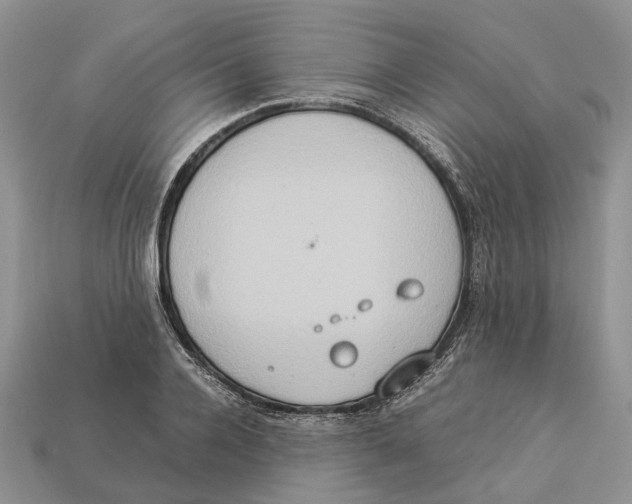 X0000112950936200909211151