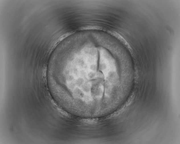 X0000112950937200909211151