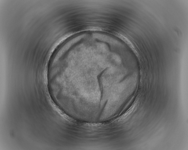 X0000112950939200909211151