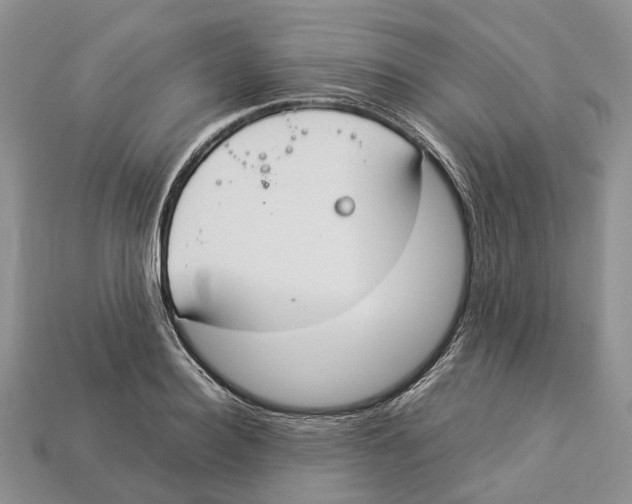 X0000112950940200909211151