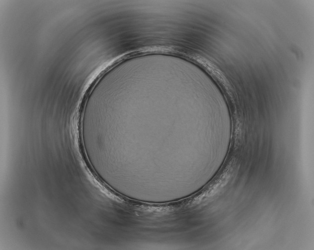 X0000112950941200909211152