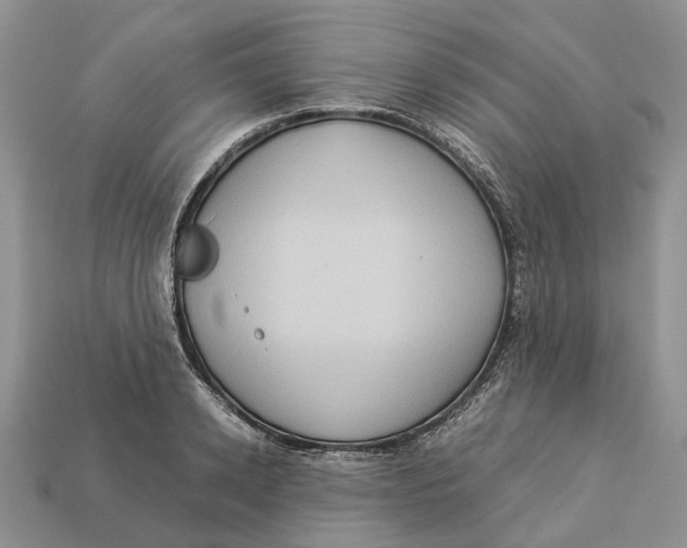 X0000112950942200909211152