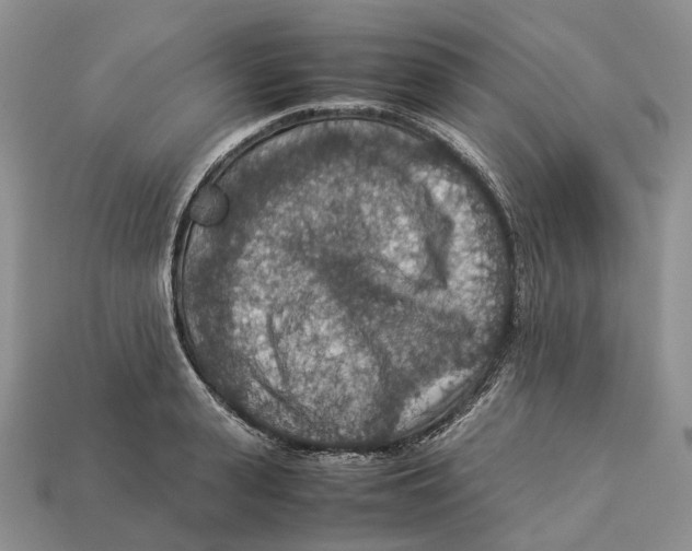 X0000112950943200909211152