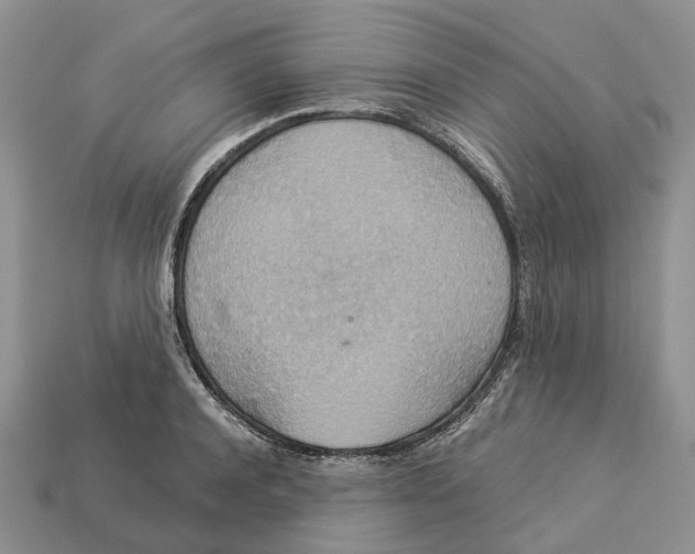 X0000112950944200909211152