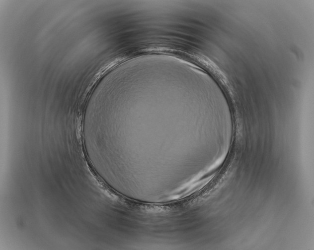 X0000112950945200909211152