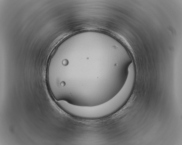 X0000112950946200909211152