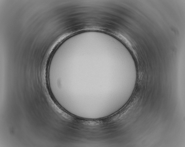 X0000112950947200909211152