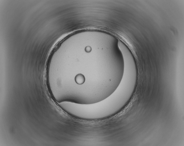 X0000112950948200909211152