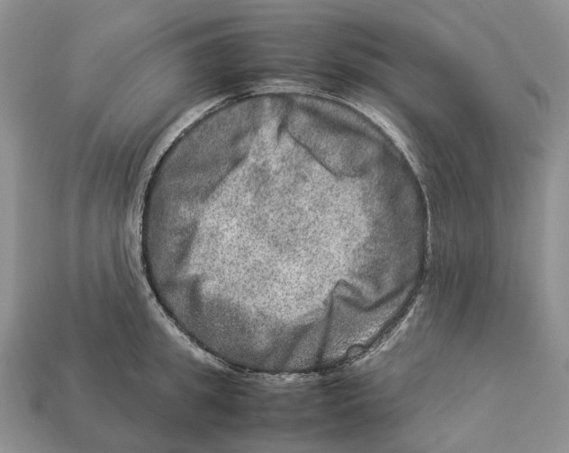 X0000112950949200909211152