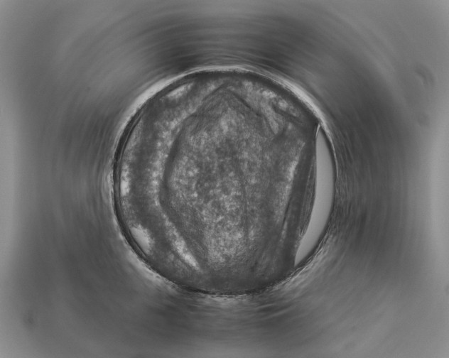 X0000112950951200909211152