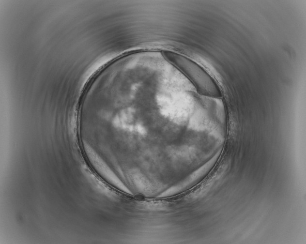 X0000112950952200909211152