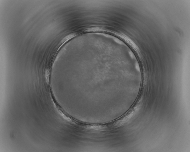 X0000112950953200909211152