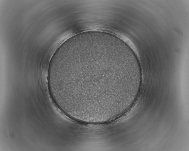 X0000112950954200909211152