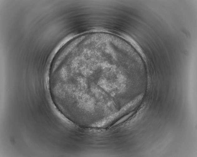 X0000112950955200909211152