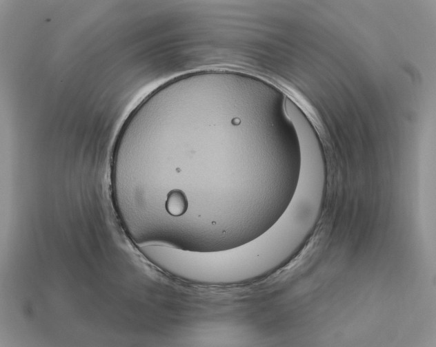 X0000112950956200909211152