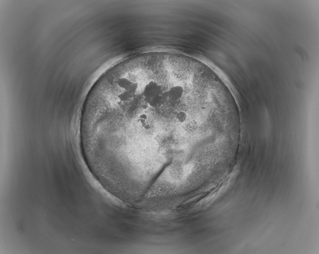 X0000112950957200909211152