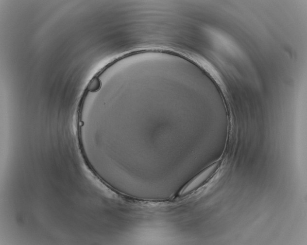 X0000112950958200909211152