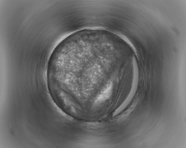 X0000112950959200909211152