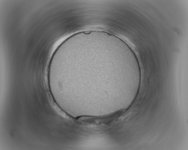 X0000112950960200909211152