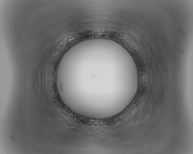 X0000112950961200909211151