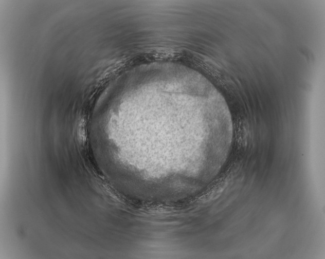 X0000112950962200909211151