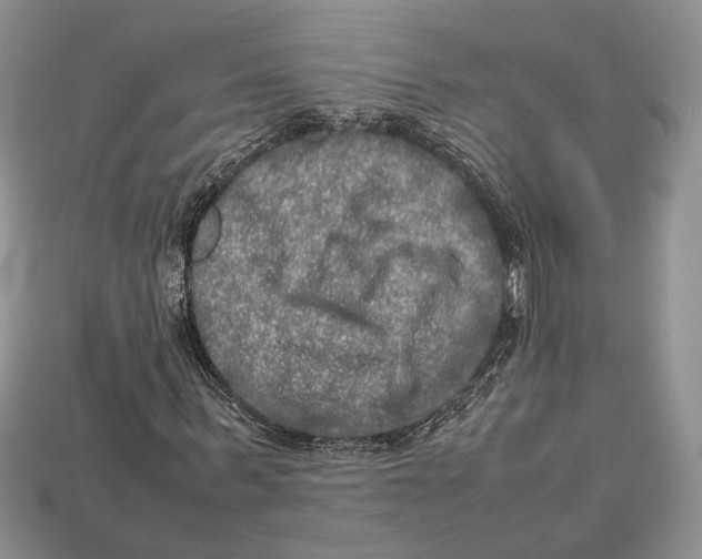 X0000112950963200909211151