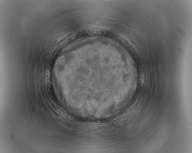 X0000112950964200909211151