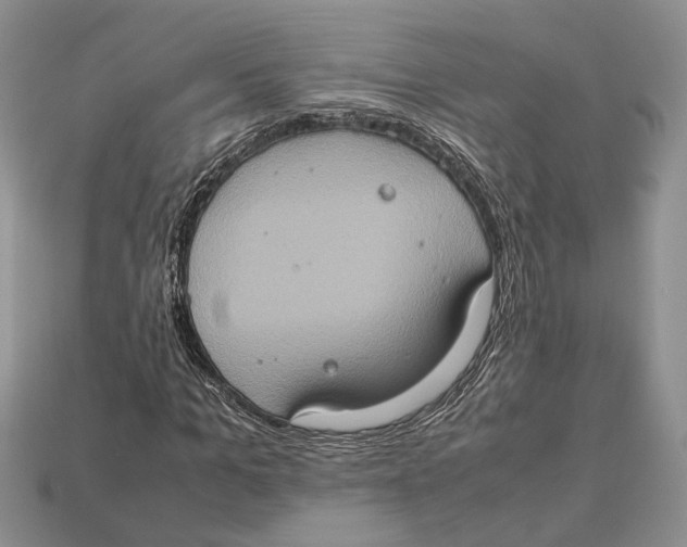 X0000112950965200909211151