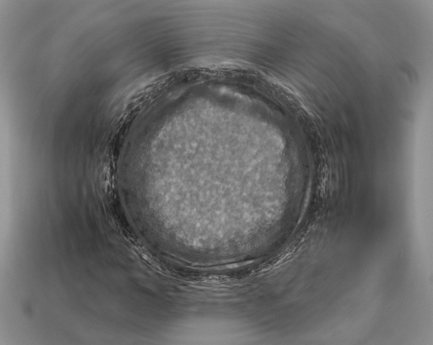 X0000112950966200909211151