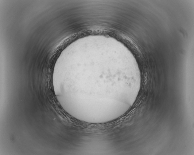 X0000112950968200909211151