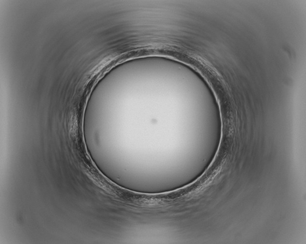 X0000112950969200909211151