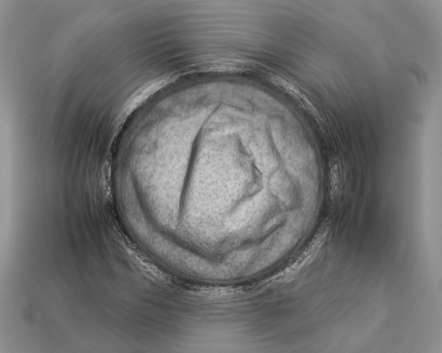 X0000112950970200909211151